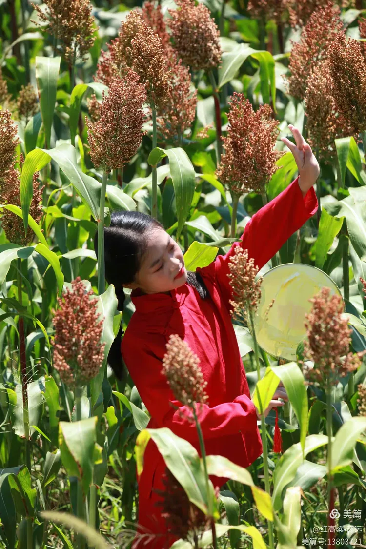 楚儿——江南的小"九儿"